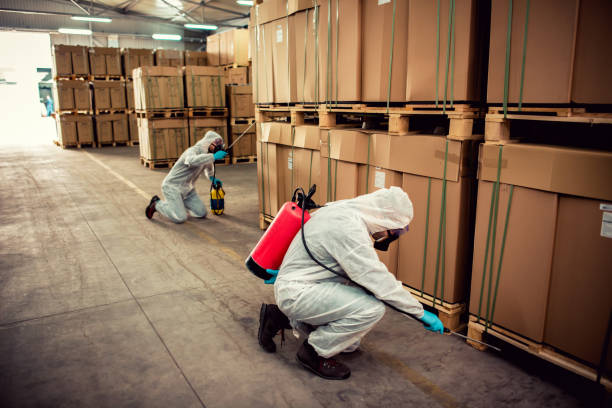 Best Local Pest Control Services  in Rome, GA