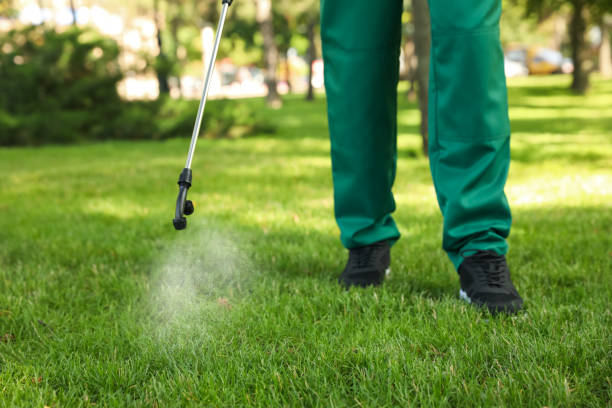 Best Insect Control  in Rome, GA