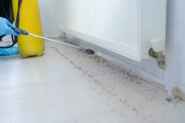 Best Residential Pest Control  in Rome, GA
