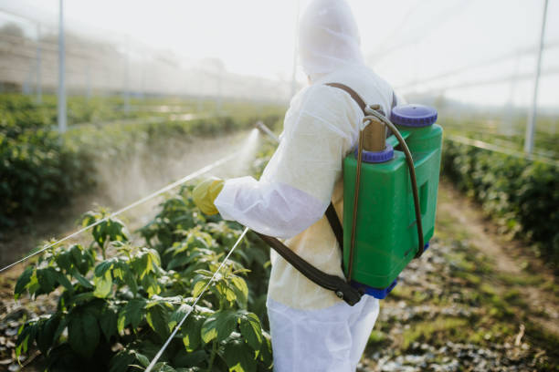 Best Mosquito Control Services  in Rome, GA
